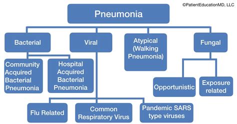 difference between pneumonia and pulmonia|7 Types of Pneumonia: Causes and Treatment .